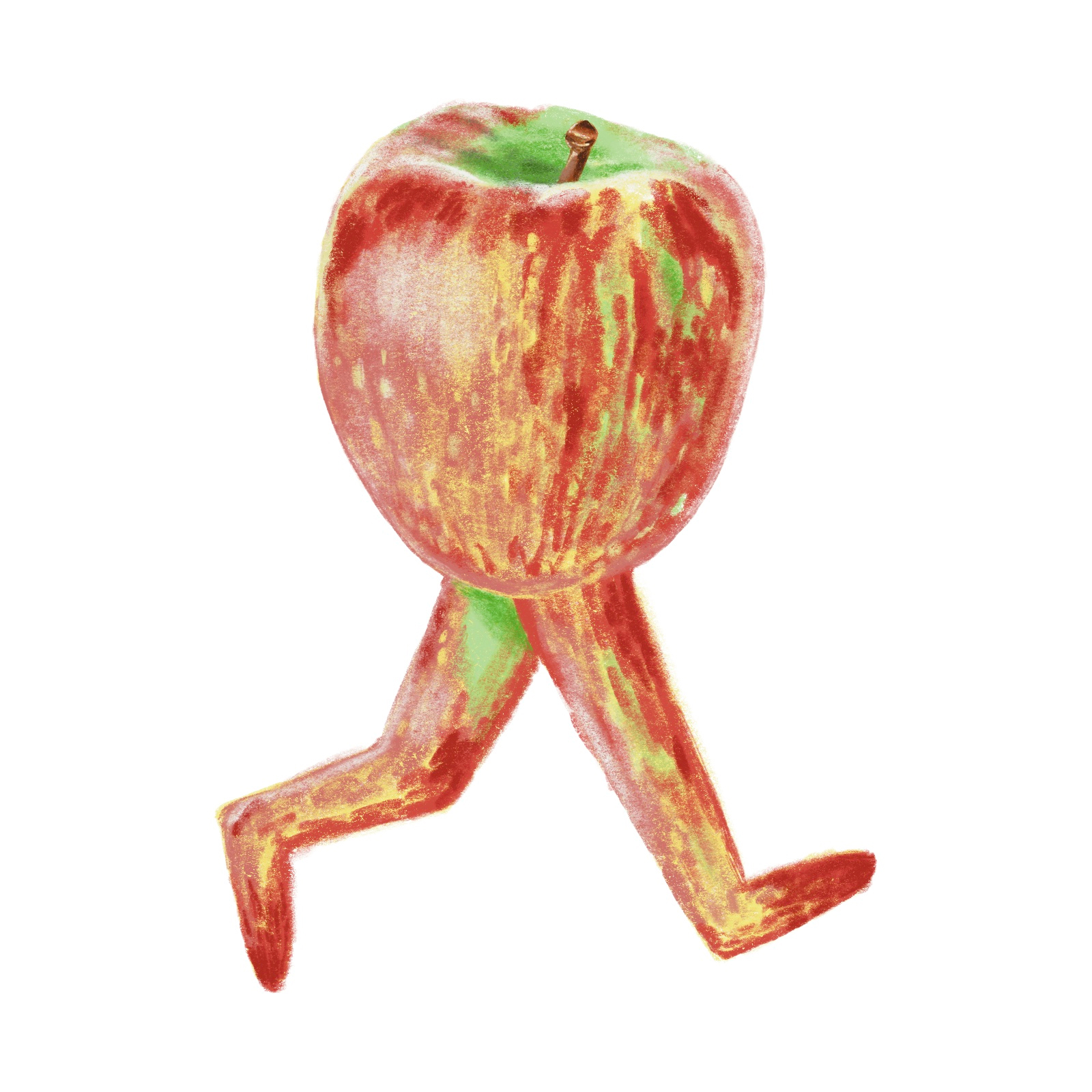 Apple strider illustration for Malus cider journal